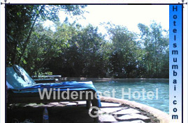 Wildernest Goa